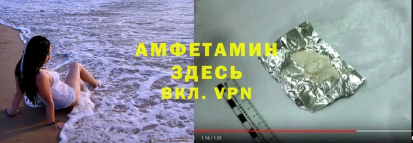 индика Михайловск