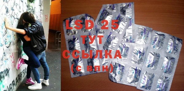 индика Михайловск