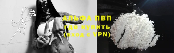 PSILOCYBIN Михайлов