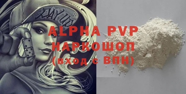 индика Михайловск