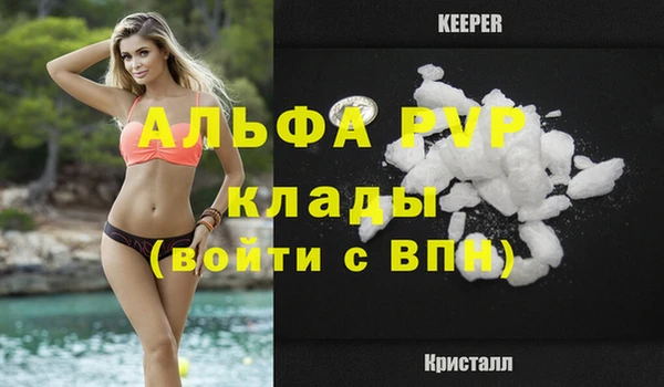 индика Михайловск