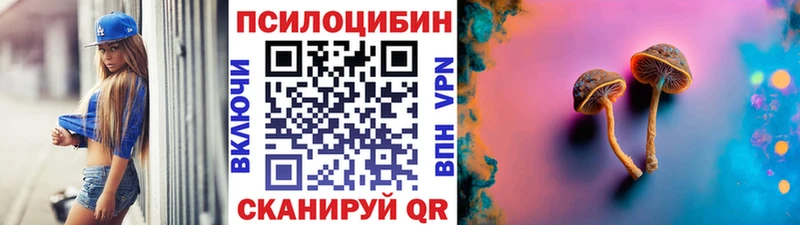 Галлюциногенные грибы Magic Shrooms  где продают   Правдинск 