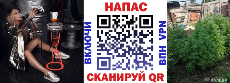 Бошки Шишки OG Kush  Правдинск 